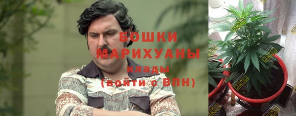 дживик Верея