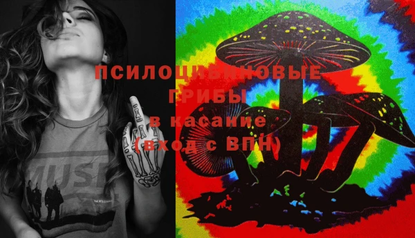 дживик Верея