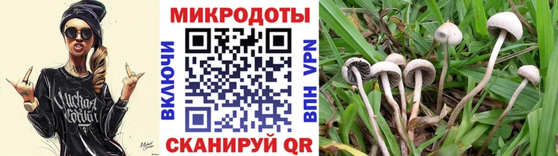 Галлюциногенные грибы ЛСД  наркошоп  Гдов 